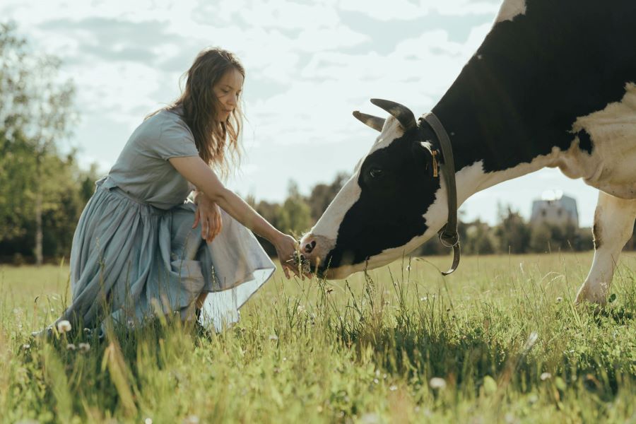 Is Beef Tallow Actually Good for Your Skin?