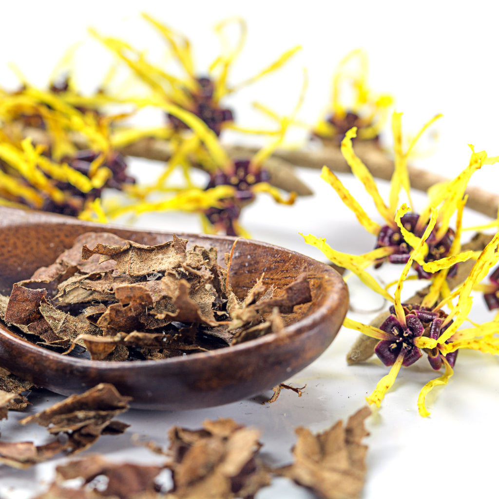 5 maravillas del hamamelis para la piel