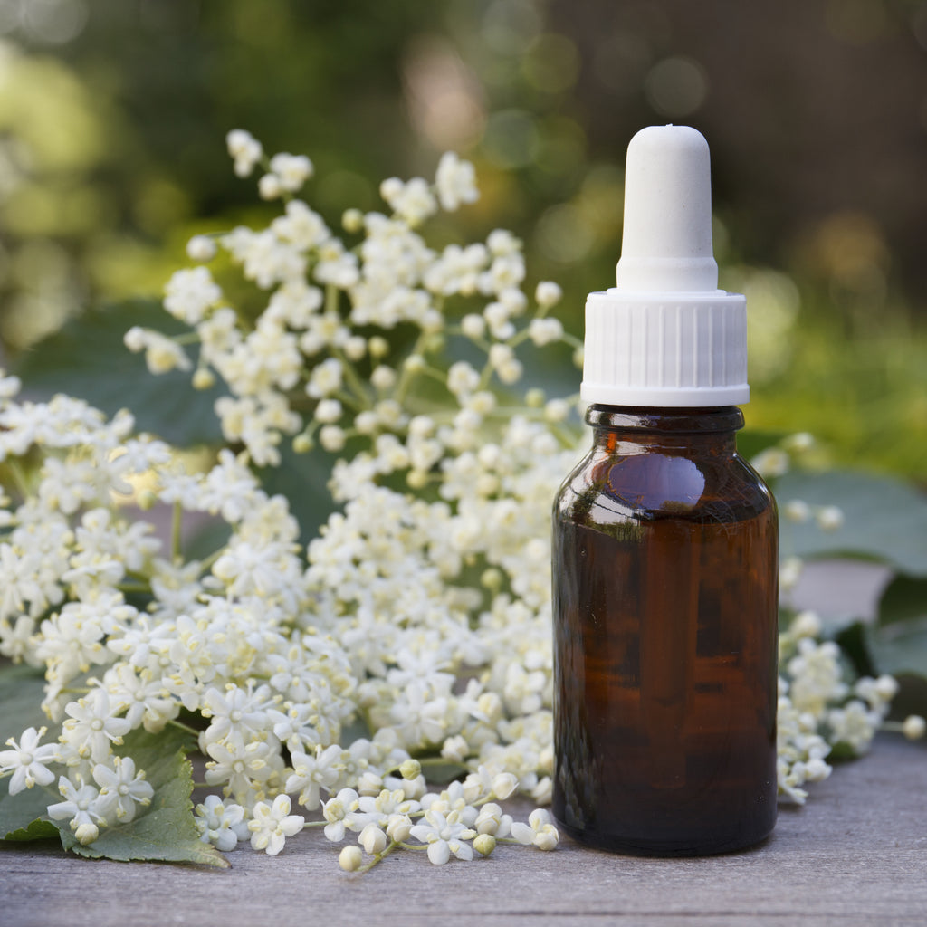 Elderbery Extract: An Anti-Ager From the Inside Out