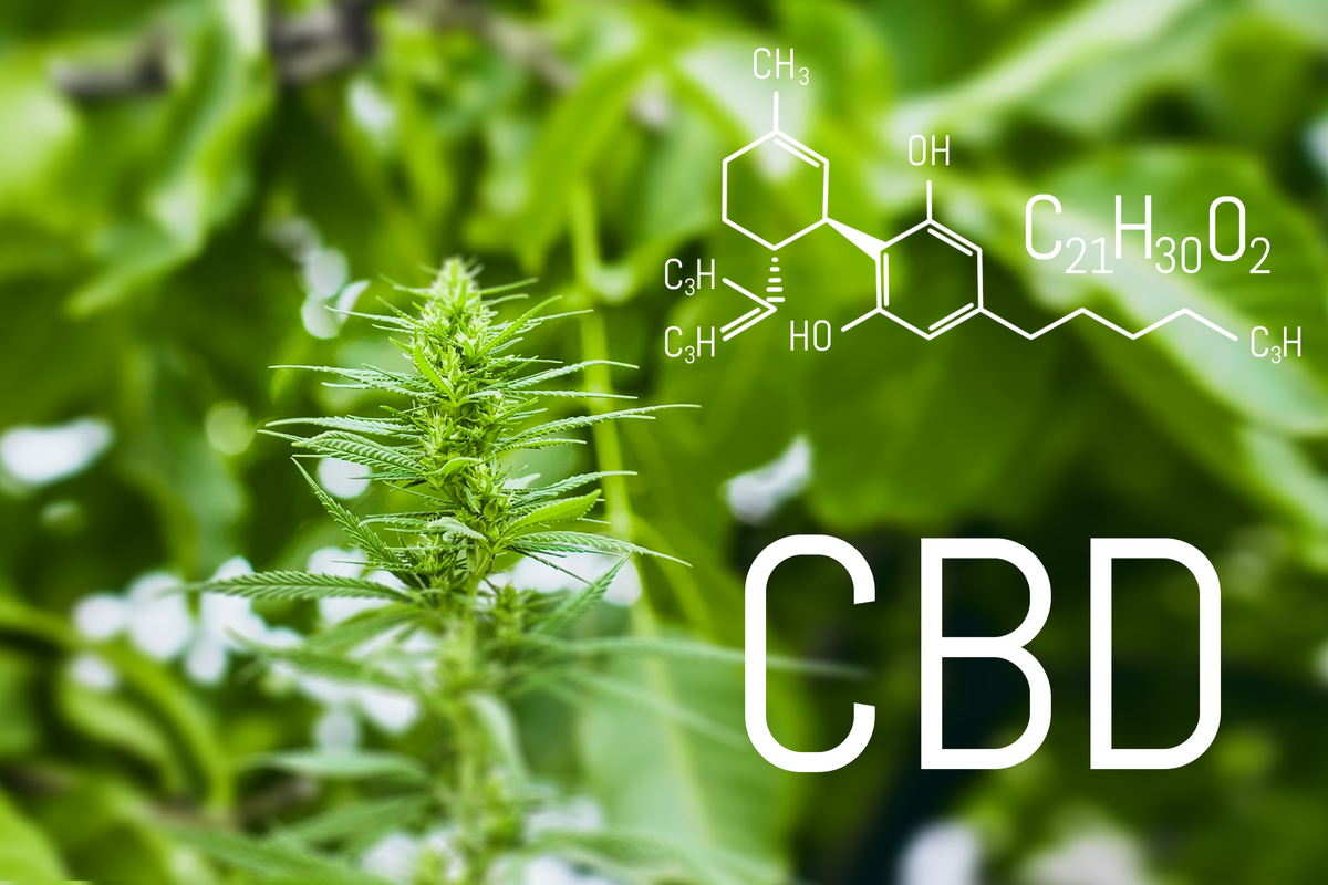 Is CBD Skincare The Real Deal? Here's What Science Shows