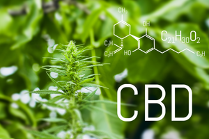 Is CBD Skincare The Real Deal? Here's What Science Shows