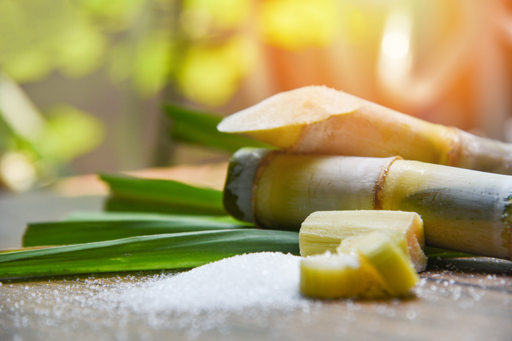 closeup image of sugarcane