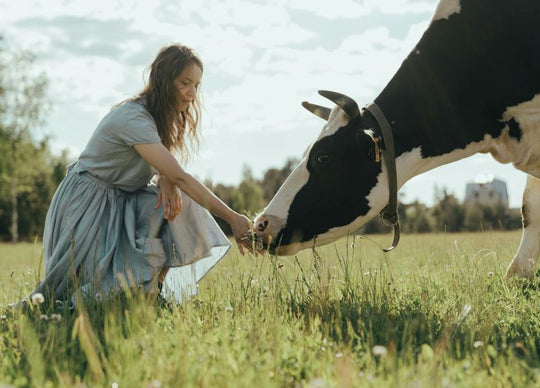 Truly Beauty's Coco Cloud routine on table - including razor, shave butter, serum, and moisturizer