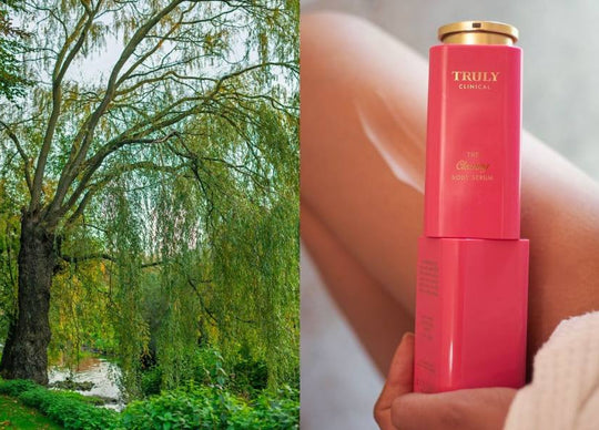 rosewater for skin | pink rose petals in glass teapot filled with water