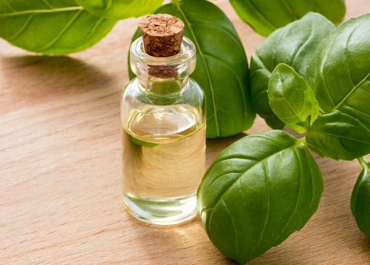 Impulsa el crecimiento del cabello con extracto de hoja de albahaca