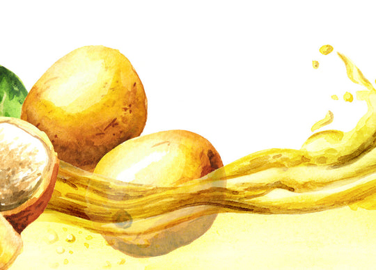 9 magníficos beneficios del aceite de marula para una piel, cabello y uñas hermosas