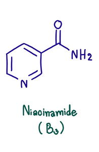 Niacinamide Serum: Everything you should know