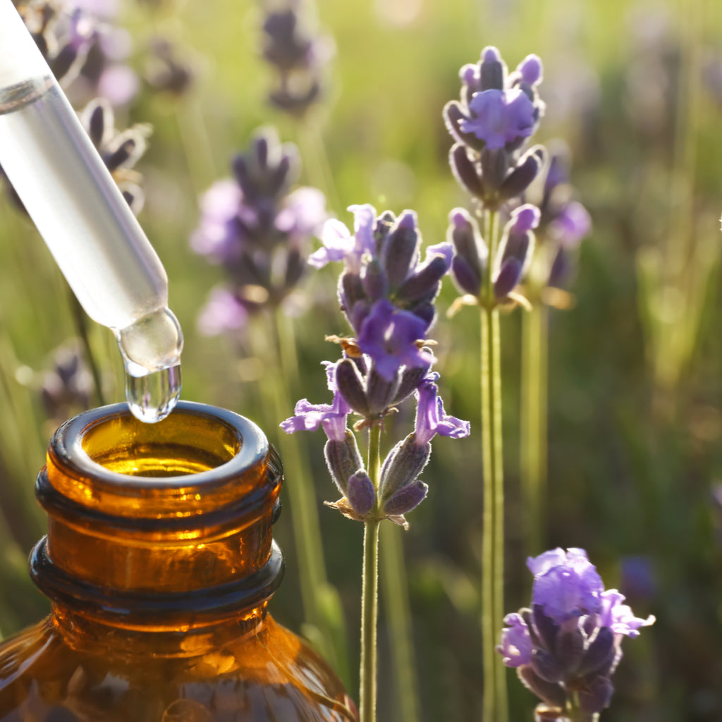 Lavender Extract, an Undiscovered Acne Treatment?