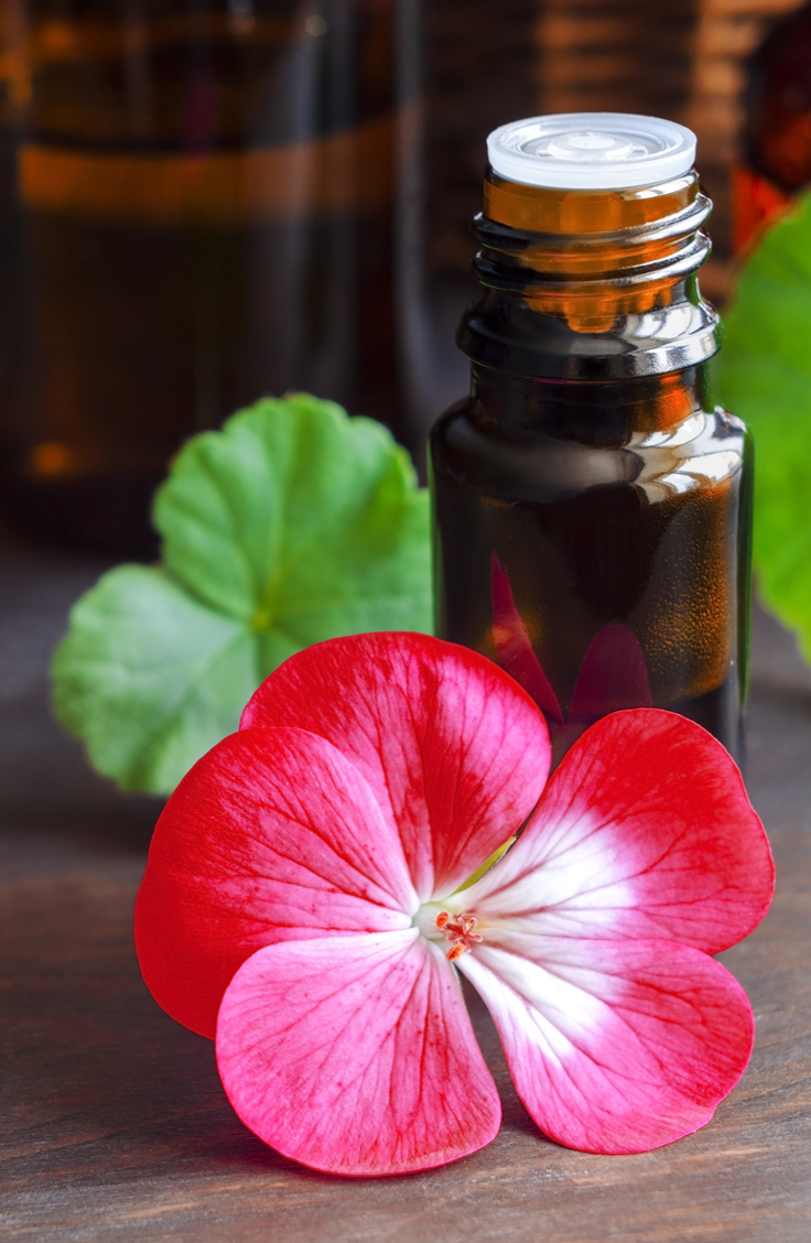 8 Great Benefits of Geranium Oil