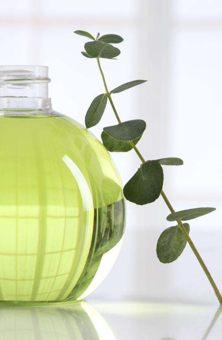 How Effective is Eucalyptus Oil for Skin, Hair & Health?