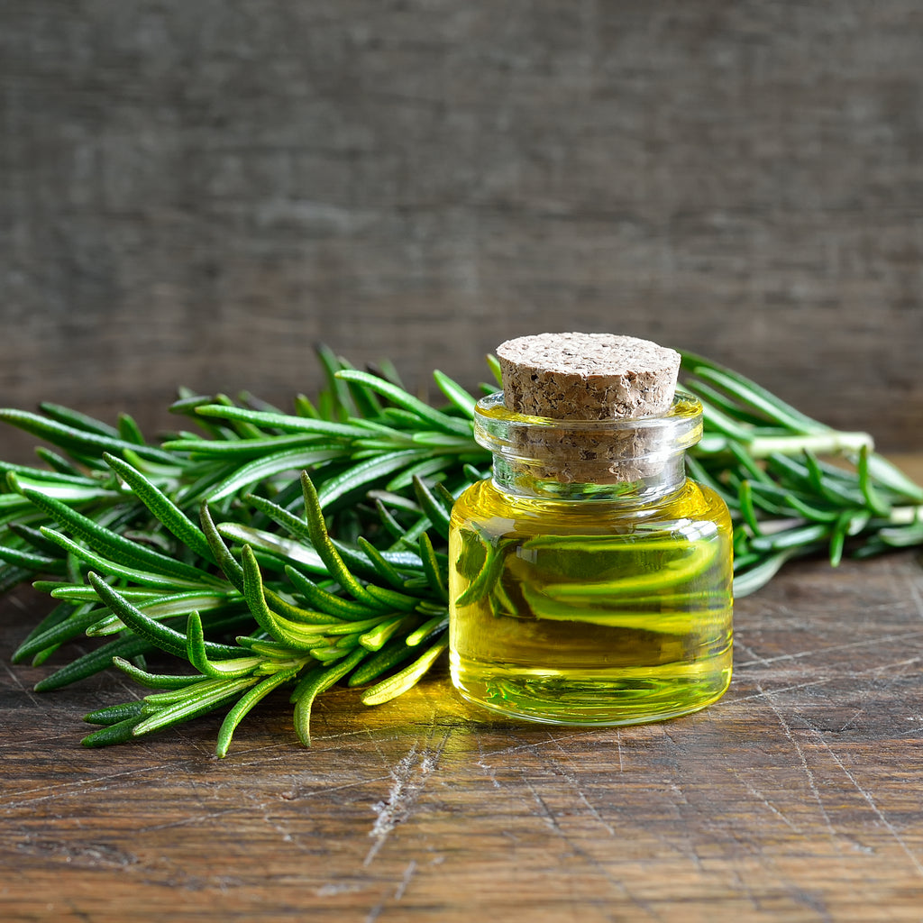 Rosemary Leaf Extract, the Ultimate Skin Rejuvenator?