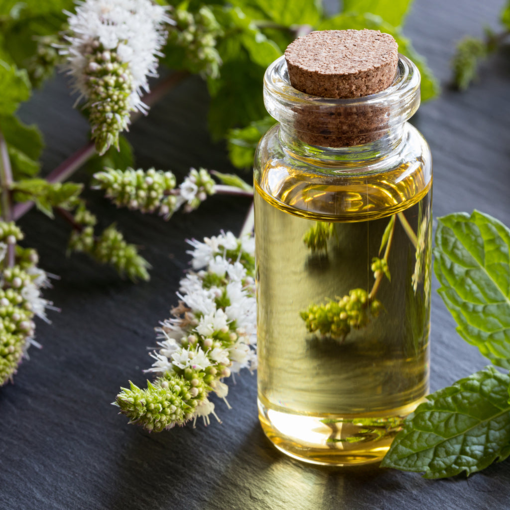 Peppermint Oil: Meet Your Skin’s New Minty BFF