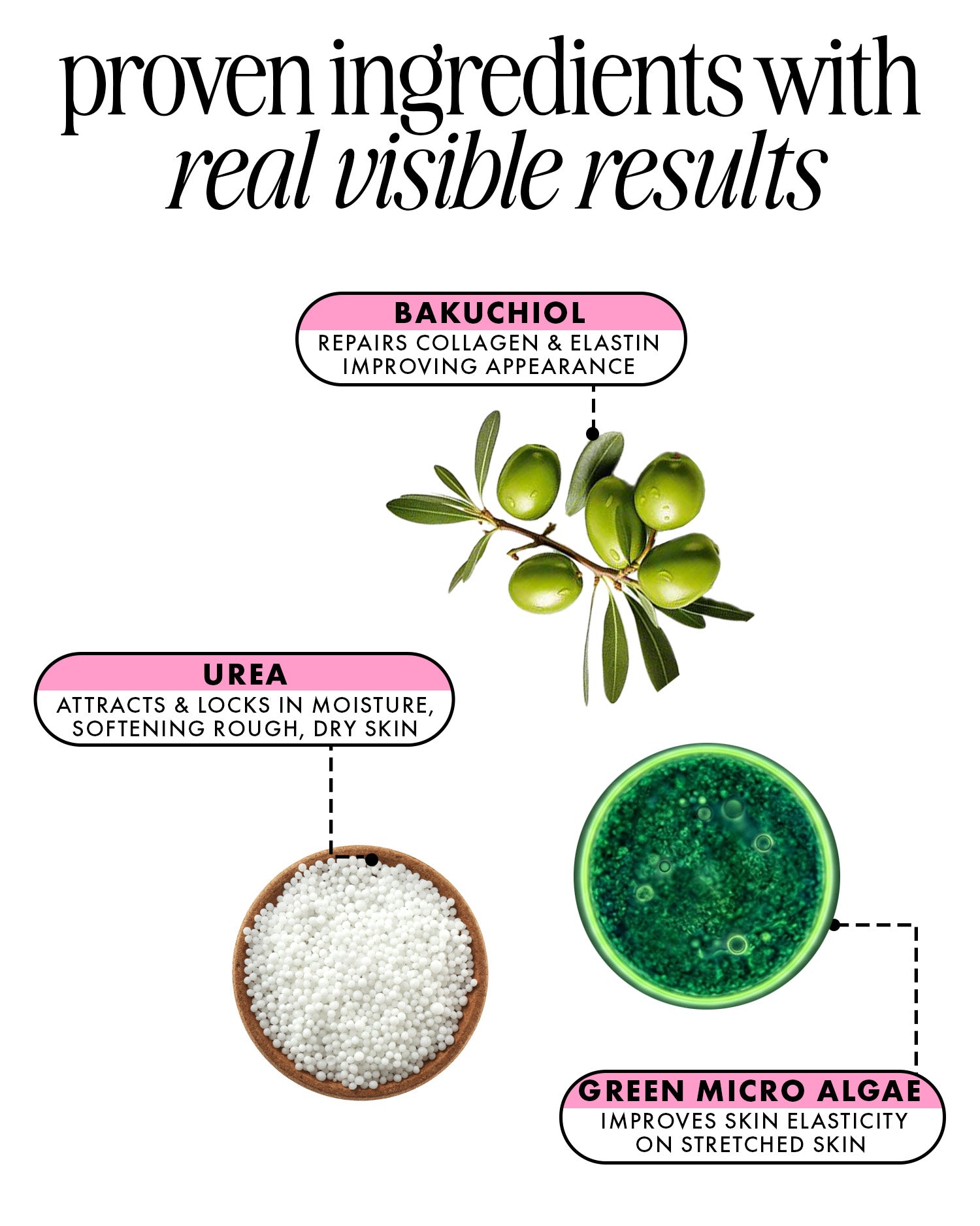 Product ingredients with Bakuchiol, Urea, and Green Micro Algae on a white background