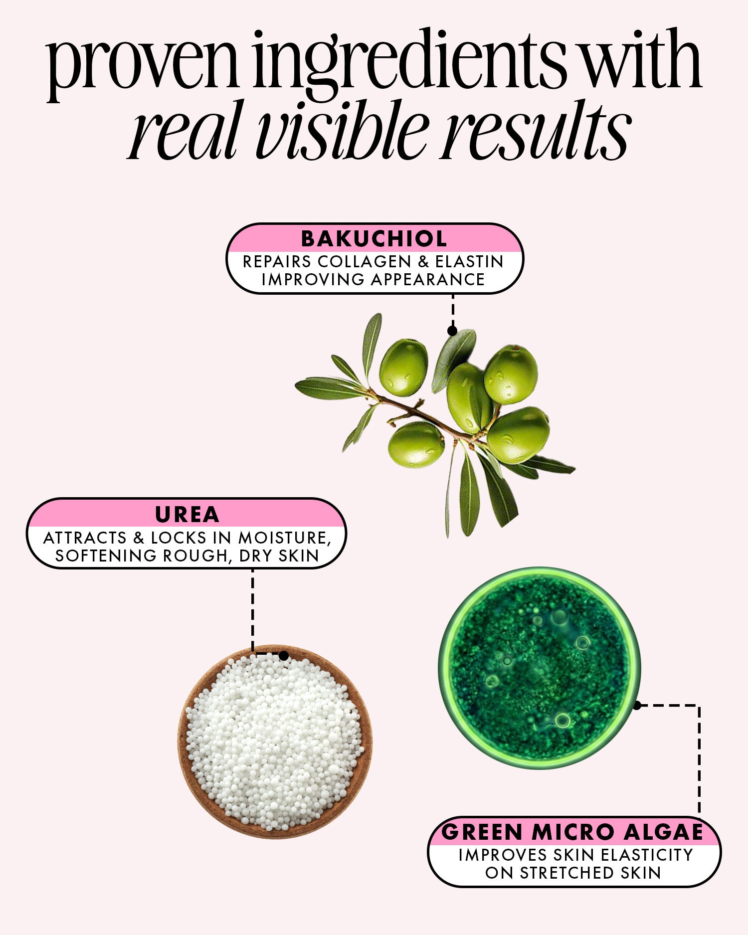 Product ingredients with Bakuchiol, Urea, and Green Micro Algae on a white background