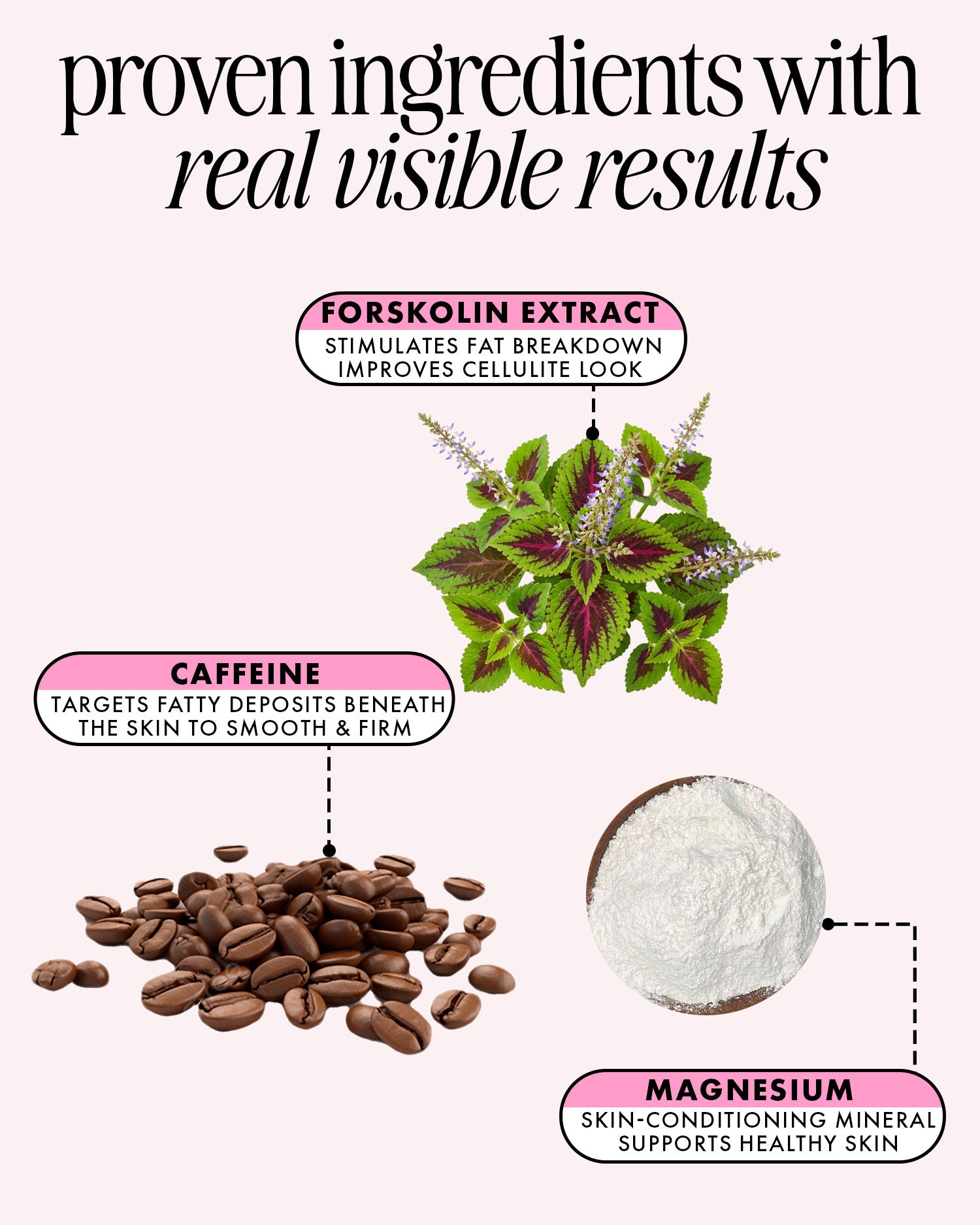 Illustration of forskolin extract, caffeine, and magnesium with text on a white background