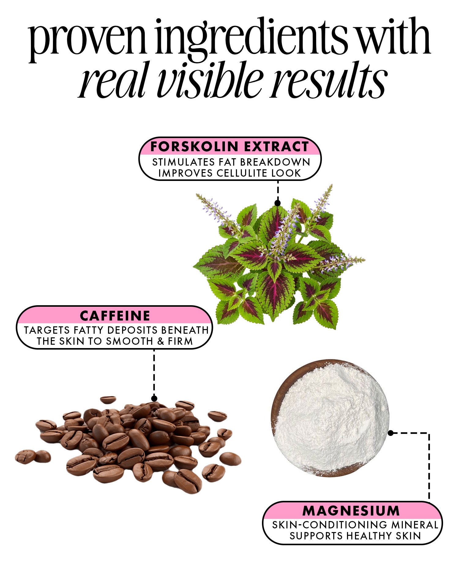 Illustration of forskolin extract, caffeine, and magnesium with text on a white background