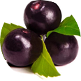 Acai