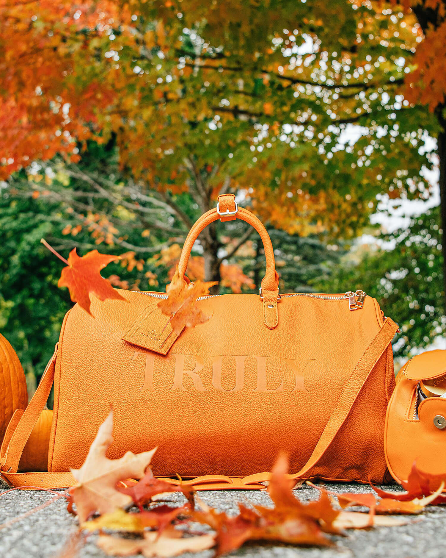 Travel Duffel Bag Pumpkin Food Vegetable Happy