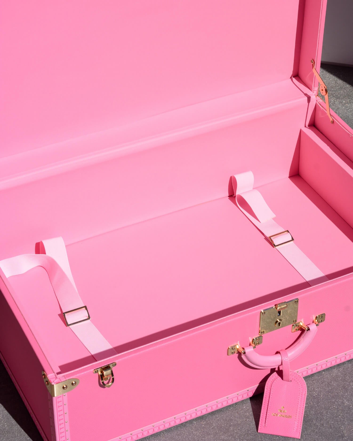 Truly Signature Luggage Travel Trunk, Pink, Vegan